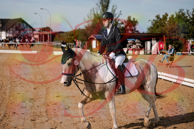 2026_10_03_Siefer-Hof_114716_Z63_25684824 | Professionelle Reitsport-, Turnier- und Eventfotografie von Robert Broda. Galerien mit ausgewählten und bearbeiteten Bildern direkt online ansehen und bestellen.