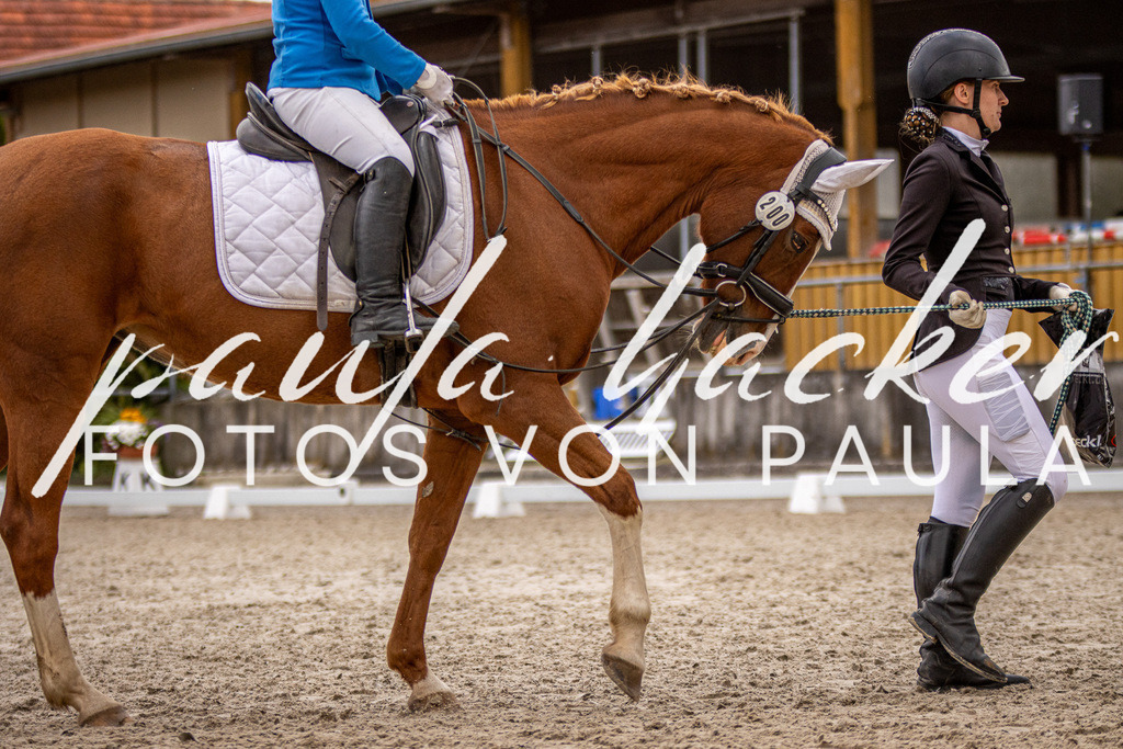 IMG_3937 | Erleben Sie dynamische Sport- und emotionale Tierfotografie in Süddeutschland mit Fotos von Paula. Spezialisiert auf Pferde- und Hundefotografie sowie Sportevents. Kontaktieren Sie mich für einzigartige und ausdrucksstarke Bilder Ihrer besonderen Momente.