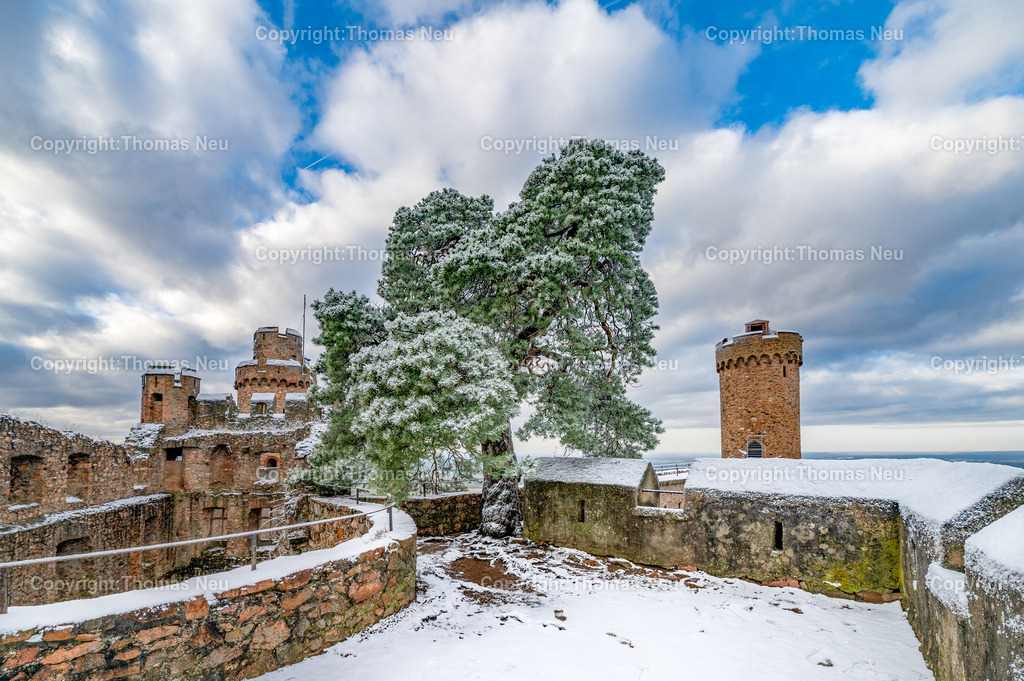 Winter-Schloss-Auerbach-Thomas_Neu_Fotografie-24 | Winterzauber auf Schloss Auerbach: Die historische Burgruine hoch über der Bergstraße zeigt sich im Schnee von ihrer beeindruckendsten Seite. Der Blick über die Rheinebene, der mächtige Wehrturm und die markante Schwarzkiefer machen das Schloss zu einem der schönsten Wintermotive im Odenwald. Entdecken Sie die faszinierende Kombination aus Geschichte, Natur und einzigartiger Winteratmosphäre., Bild: Thomas Neu
