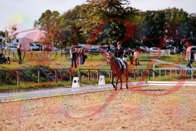 2026_10_03_Siefer-Hof_130854_Z81_62258366 | Professionelle Reitsport-, Turnier- und Eventfotografie von Robert Broda. Galerien mit ausgewählten und bearbeiteten Bildern direkt online ansehen und bestellen.