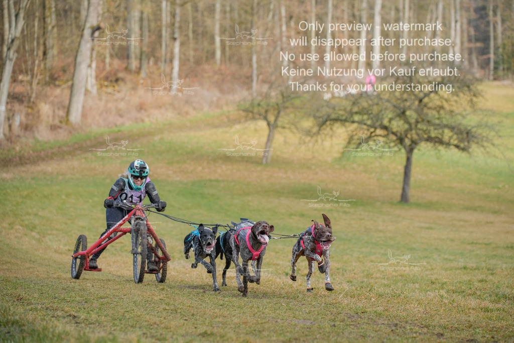 Sa_Gespanne-14 | stephaniefillaphotographie - Realisiert mit Pictrs.com