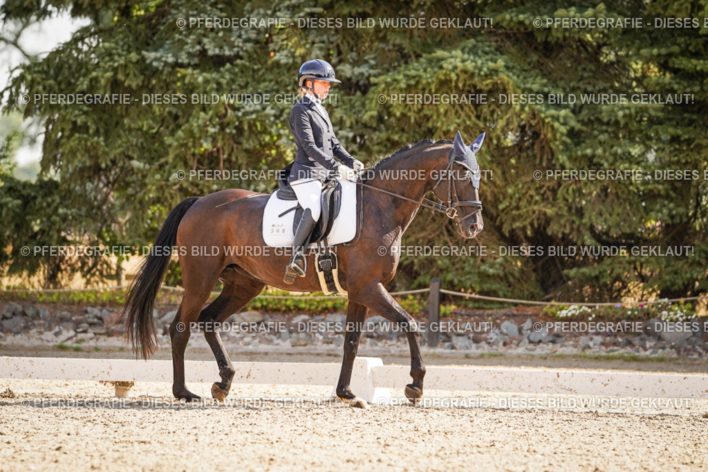 DSC00766 | Pferdegrafie