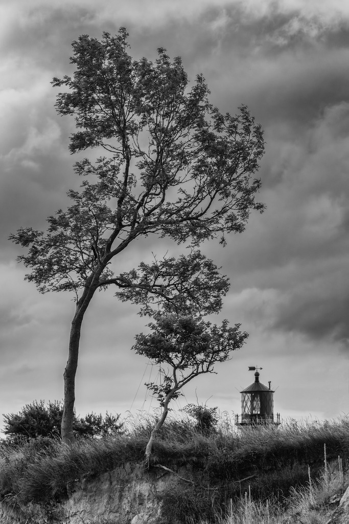2025_07_09_FEHMARN-LEUCHTTURM+SCHMETTERLINGE_MCP8776 sw | Hochwertig gedruckte Fotografien für die Wand, als Kalender und zum Verschenken. Hamburg & Norddeutschland und überall wo ich mit der Kamera unterwegs war.