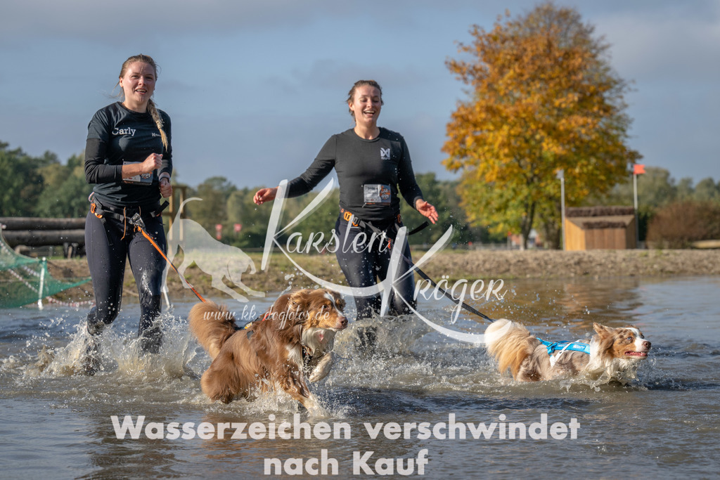 1106_ZZ91558 | kk-dogfotos