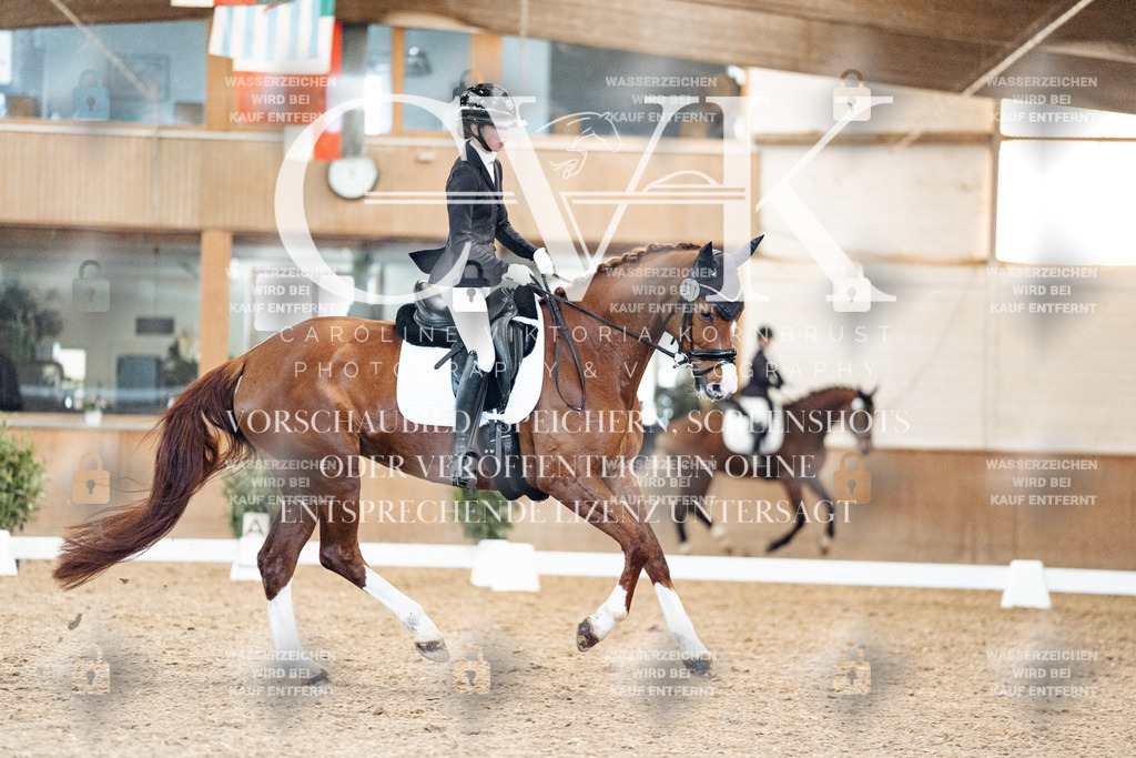 CK909078 | Turnierfotografie Pferdefotografie Trier Rheinland-Pfalz Pferdesport Reitsport Tierfotografie Sportfotografie Pferdevideo Pferdevideografie Equestrianvideography equestrianphotography  - Realisiert mit Pictrs.com