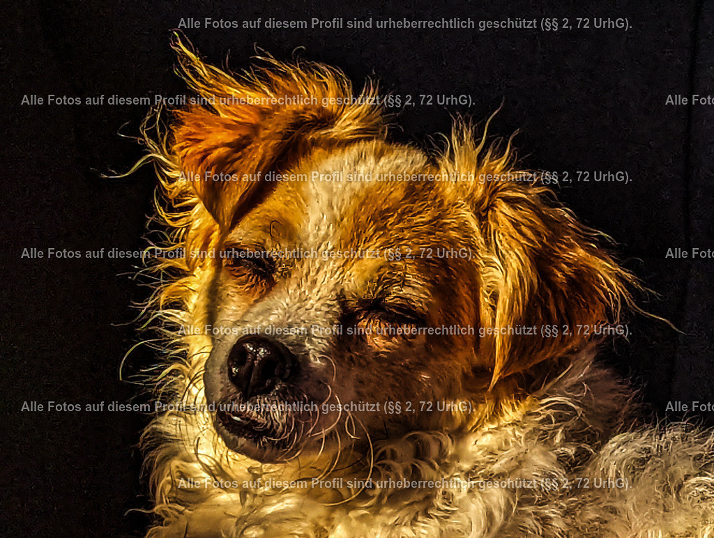 PXL_20220505_063436319-01 | krollfotografie - Realisiert mit Pictrs.com