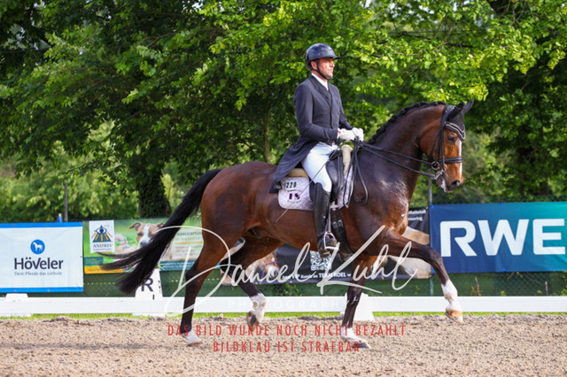 DKP41785 | Turnierfotos kaufen im Webshop von Daniel Kuhl Photography – entdecke professionelle Reitsportfotos aus Turnieren & Events. Hochwertige Turnierbilder online bestellen & sichern. Jetzt Fotos von Reitsportturnieren kaufen!