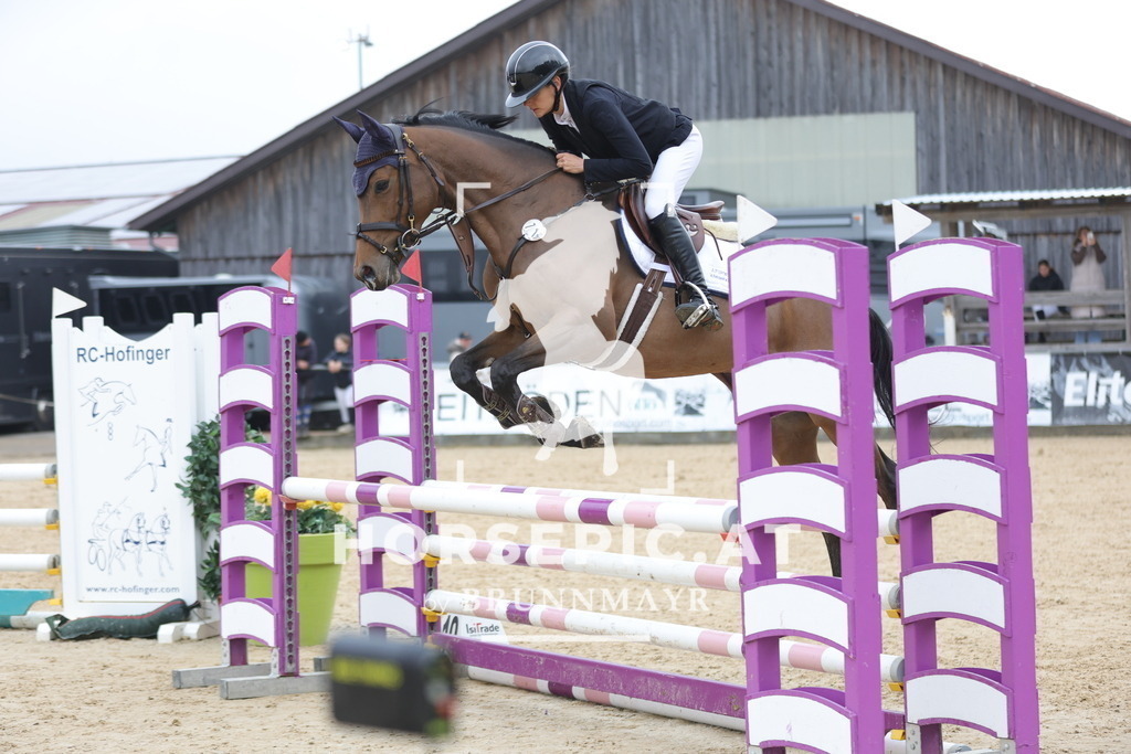 0P6A1804 | Willkommen bei Brunnmayr - Design & Fotografie – Ihrem Spezialisten für Reitturniere und Pferdeveranstaltungen in Oberösterreich, Salzburg und Bayern! Seit über 17 Jahren sind wir leidenschaftlich dabei.