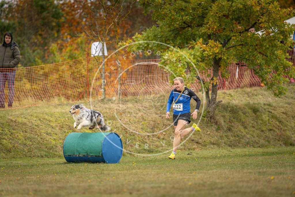 Pfotenfotografie_DV3A4520 | Hundefotografie, Tierfotograf, Pfotenfotografie, Fotoshooting Hund, Hunde Portrait, Hundesport, Hundeportraits, Heideshooting, Hunde, Sportfotograf, Hundefotograf, Turnierhundsport, THS,  - Realisiert mit Pictrs.com