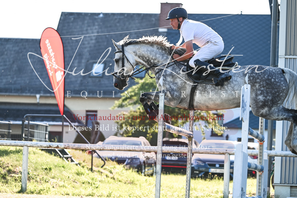 DSC_3156 | Pferde- und Turnierfotografie in Westsachsen. Pferdeportraits, Auftragszeichnungen und intuitive Kunst.