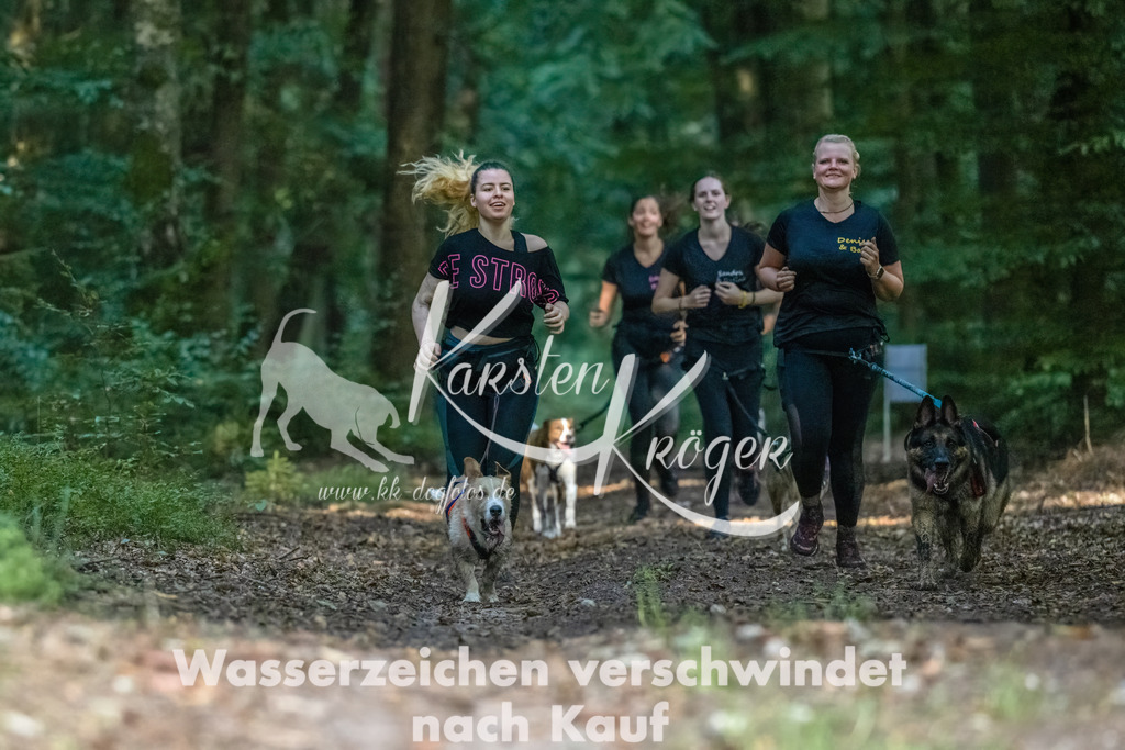 0908_ZZ90338-Bearbeitet | kk-dogfotos