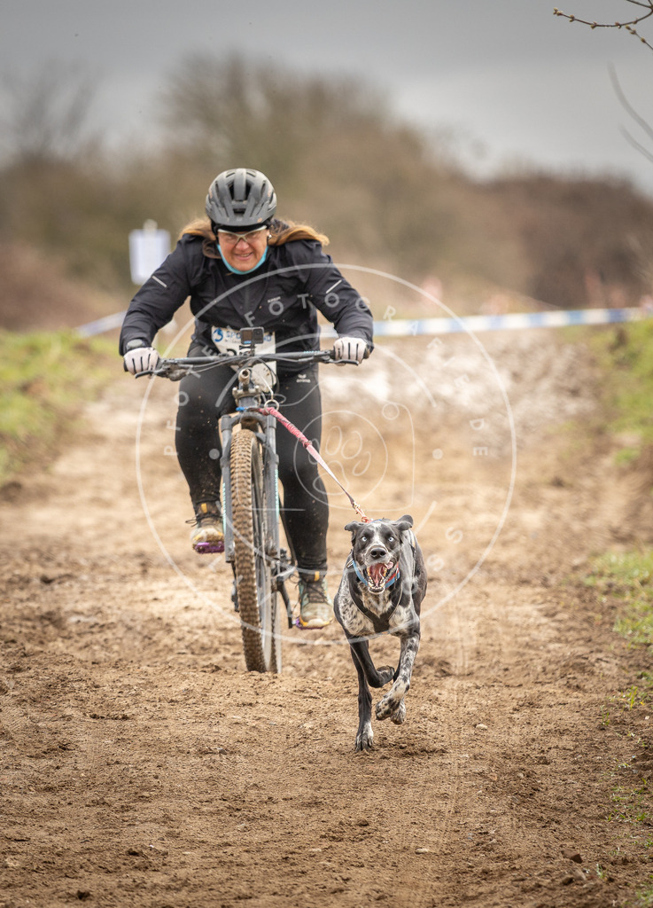 DV3A0731 | Hundefotografie, Tierfotograf, Pfotenfotografie, Fotoshooting Hund, Hunde Portrait, Hundesport, Hundeportraits, Heideshooting, Hunde, Sportfotograf, Hundefotograf, Turnierhundsport, THS,  - Realisiert mit Pictrs.com