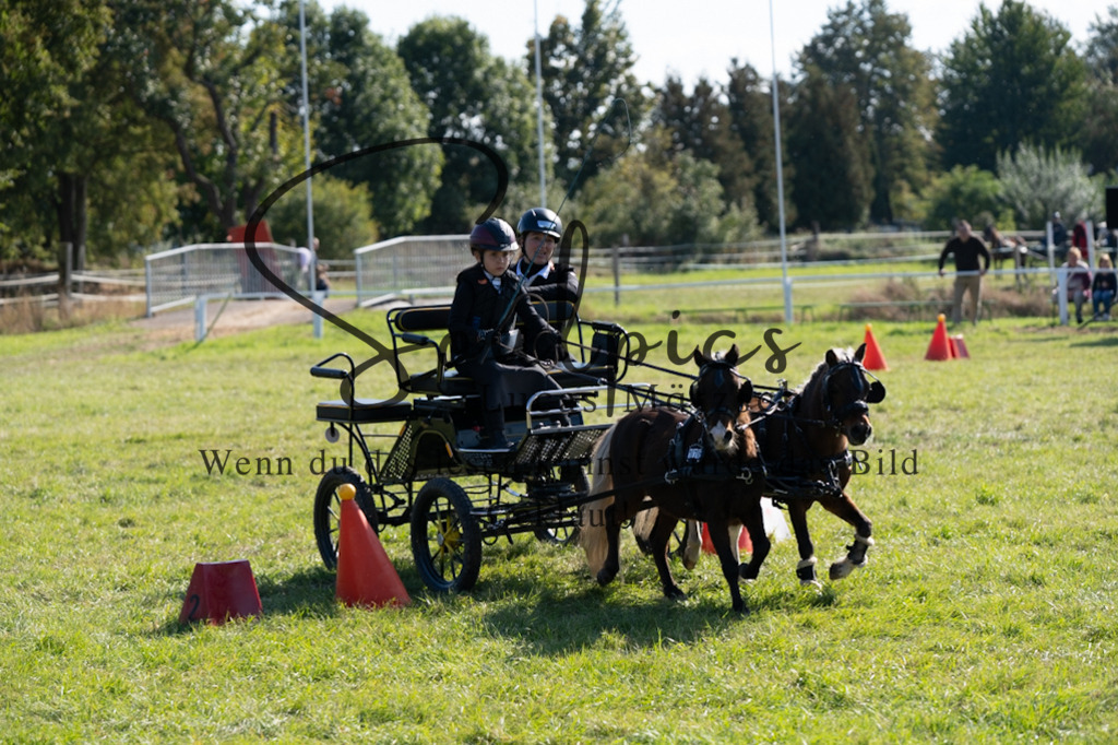 A7V04380 | Pferdefotograf