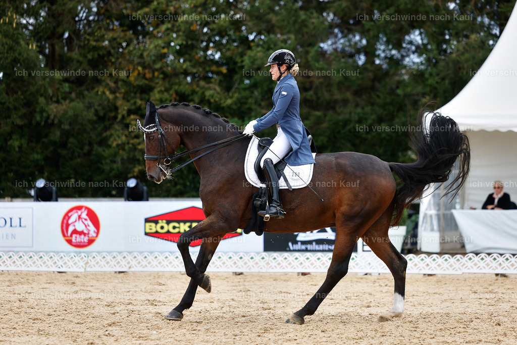 6-200-AMATUER-DRESSUR S_  -StoibPH-3536 | working equitationturnier fotograf videograf stoibphotography marixx film working equitation deutschland reitsport turnierfotografie eventfotografie equestrian events