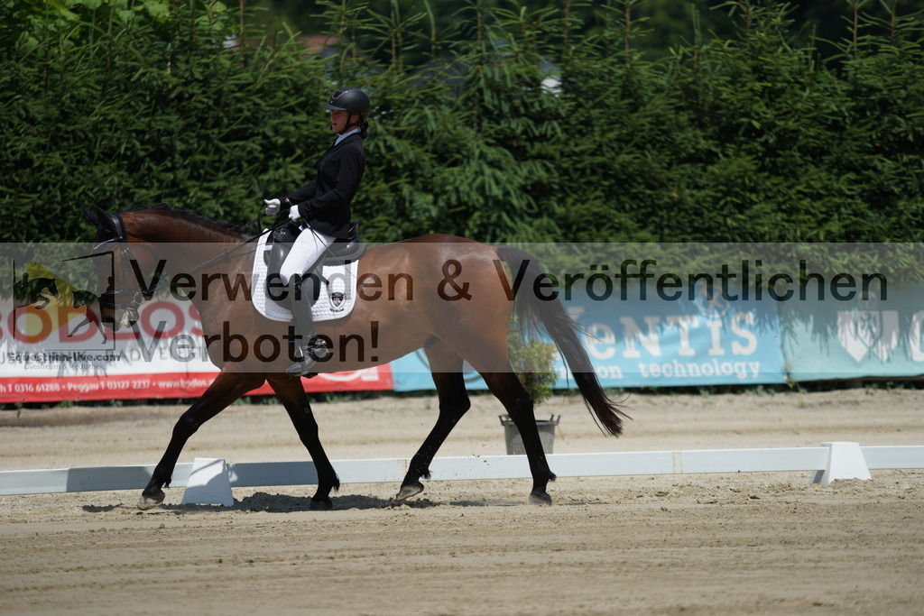 DSC04806 | equestrian-live-com