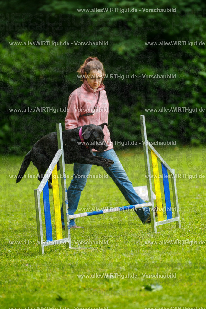 @allesWIRTHgut_Tierfotografie - www.allesWIRTHgut.de - 7R503095 | Professionelle Tierfotografie in Mönchengladbach von Daniel Wirth (allesWIRTHgut). Liebevolle & natürliche Bilder von Hunden & Katzen für unvergessliche Erinnerungen.