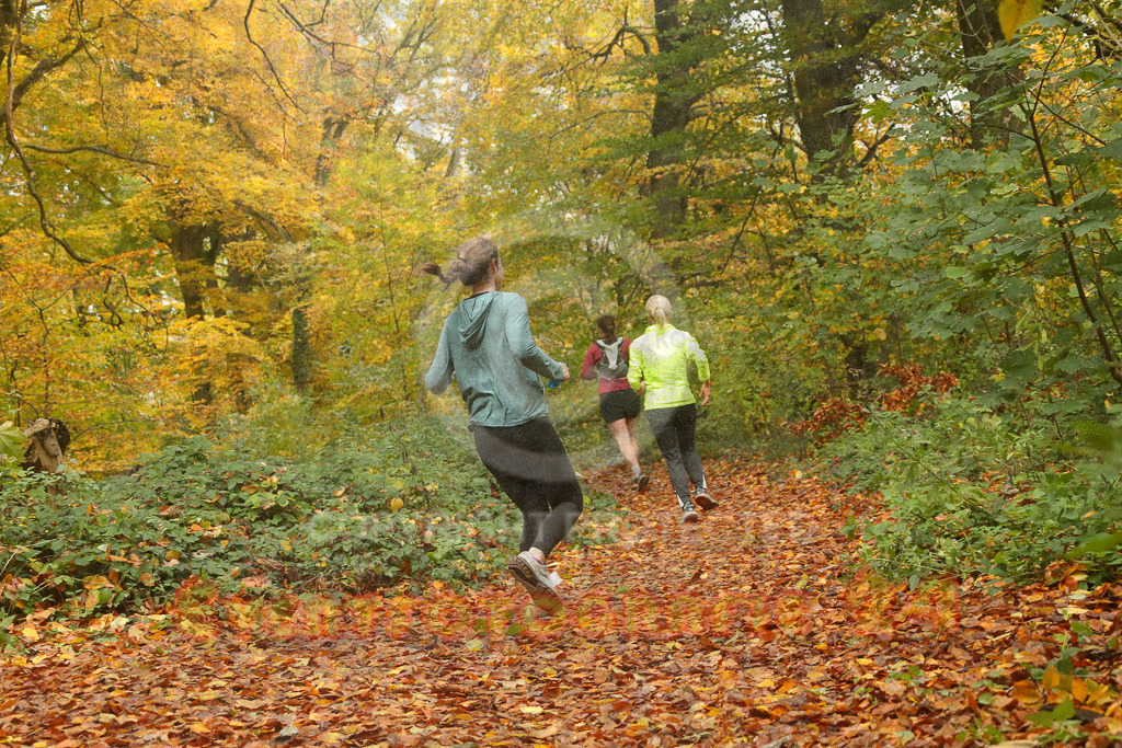251026_1316_EX2_8405 | Eventfotografie 24Sport- und Eventfotografie