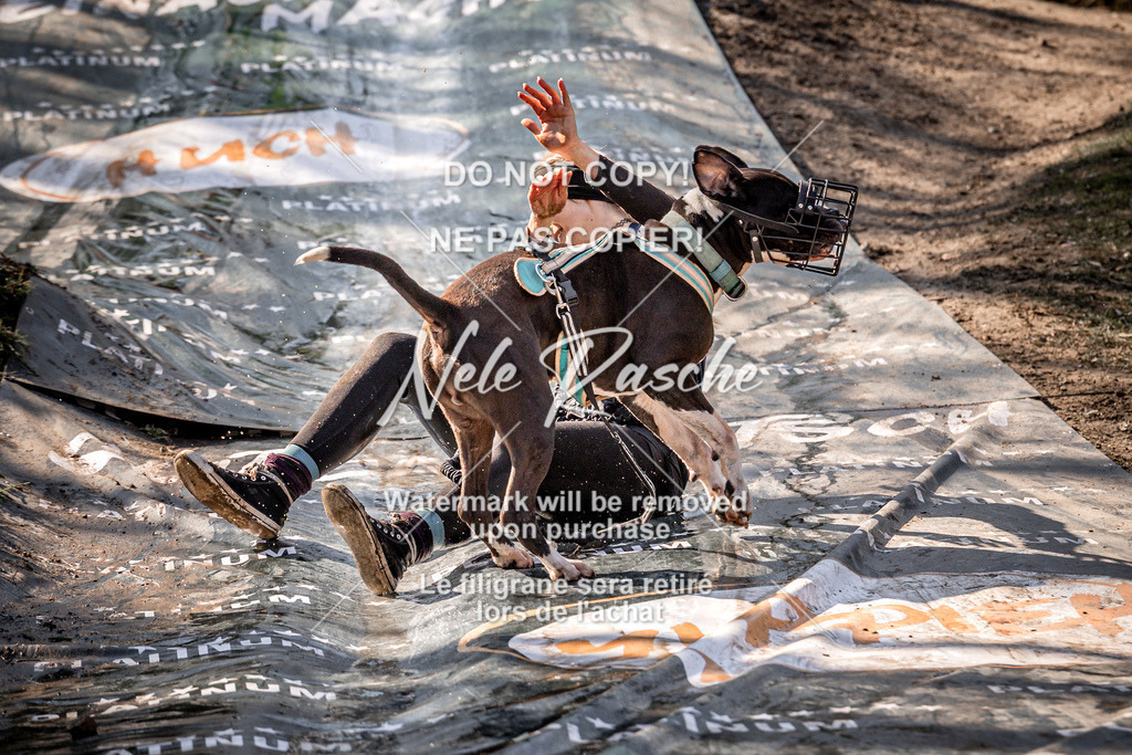nelerasche_Hulsbeek_So1300-1330_469 | nelerasche
