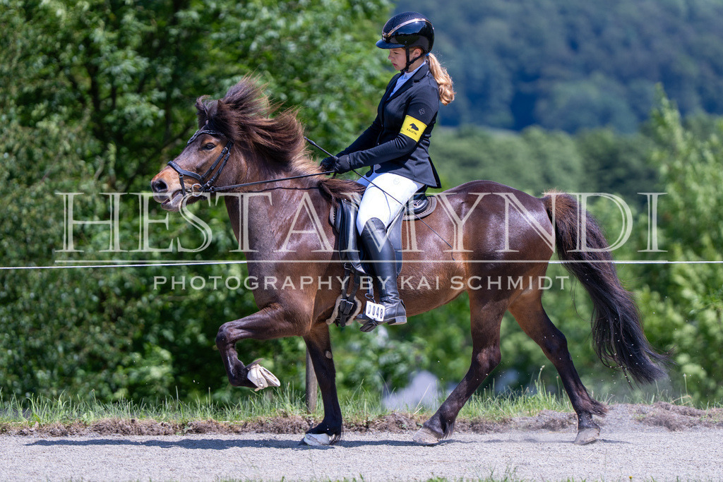 KAI03073 | Ihr sucht einen Fotografen für eure nächste OSI? Ich begleite auch euer Turnier für Islandpferde fotografisch.  - Realisiert mit Pictrs.com