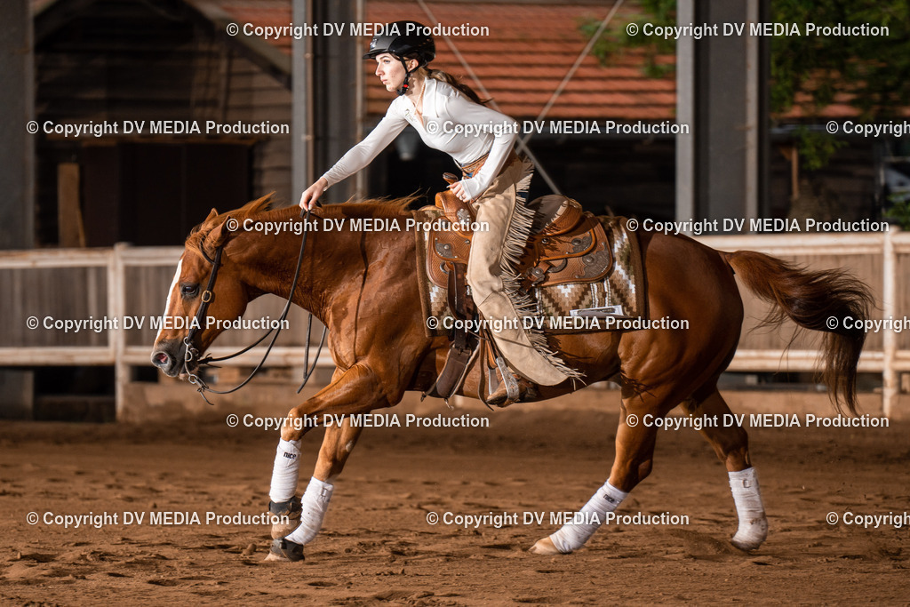 Erbach Tag 3-841 | dv-media-shop - Realisiert mit Pictrs.com