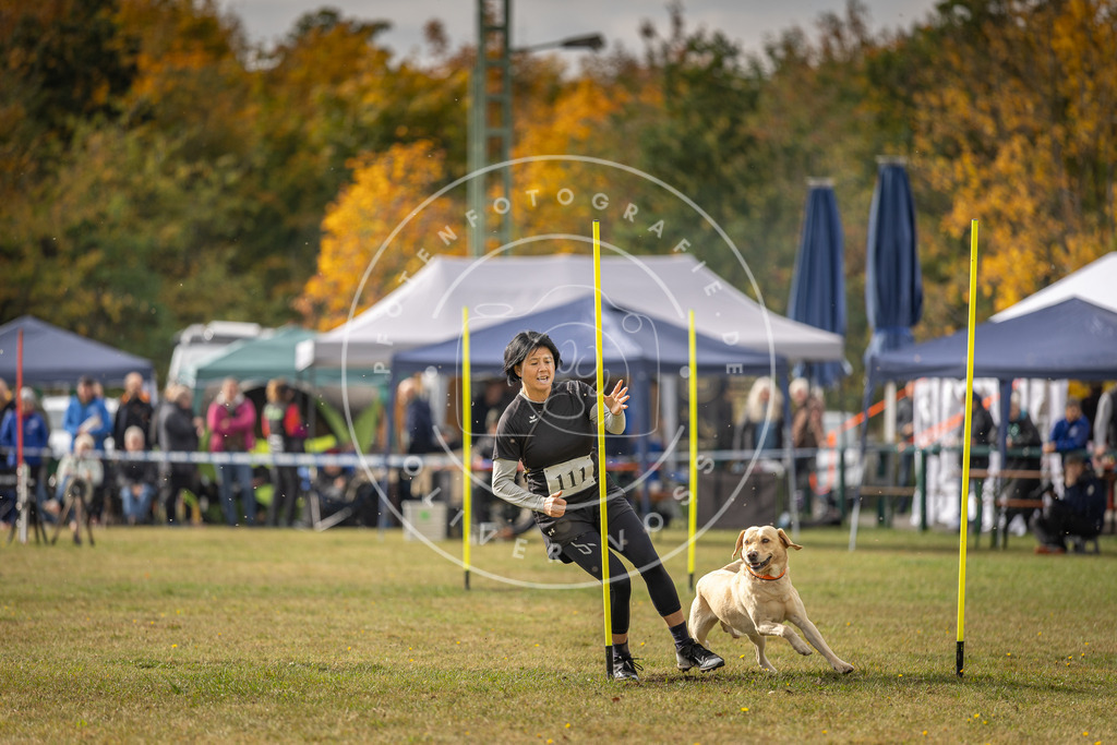 Pfotenfotografie_DV3A7126 | Hundefotografie, Tierfotograf, Pfotenfotografie, Fotoshooting Hund, Hunde Portrait, Hundesport, Hundeportraits, Heideshooting, Hunde, Sportfotograf, Hundefotograf, Turnierhundsport, THS,  - Realisiert mit Pictrs.com