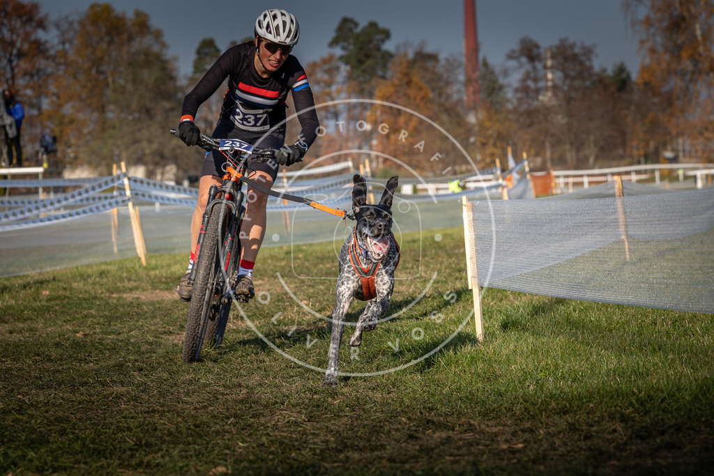 CaniXpix_0L8A6789 | Hundefotografie, Tierfotograf, Pfotenfotografie, Fotoshooting Hund, Hunde Portrait, Hundesport, Hundeportraits, Heideshooting, Hunde, Sportfotograf, Hundefotograf, Turnierhundsport, THS,  - Realisiert mit Pictrs.com