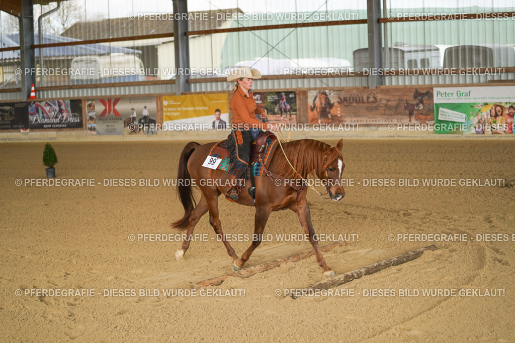 DSC01146 | Pferdegrafie