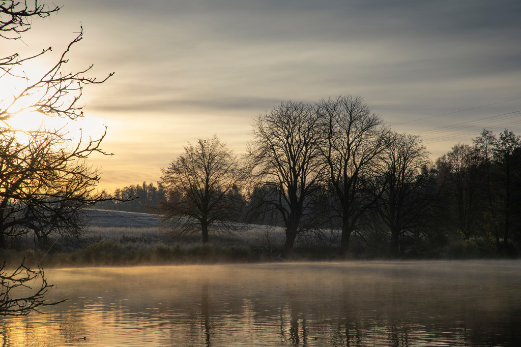 Frost am Mühlenteich | An einem frostigen Morgen im November 2023 rund um den Mühlenteich in Wismar, Mecklenburg-Vorpommern. - Realisiert mit Pictrs.com