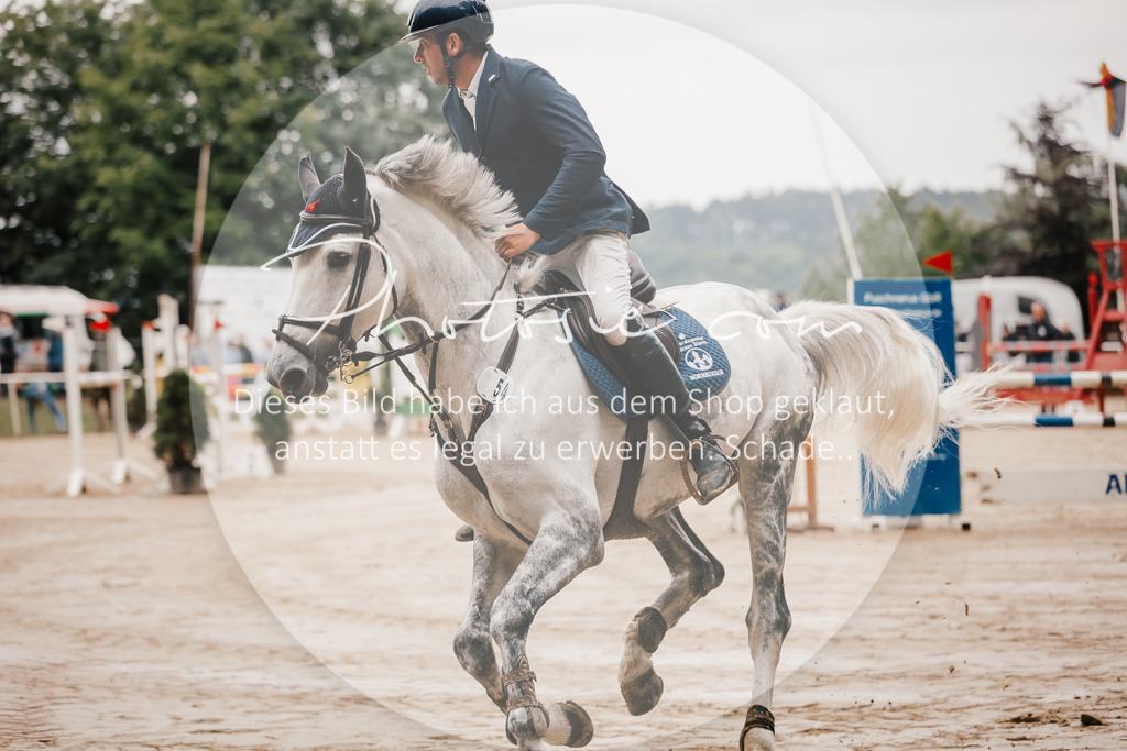 3I6A1922 | Stimmungsvolle Portraits und Reitsportfotografie im Ruhrgebiet und im Münsterland.

Pferdefotografie, Hundefotografie, Tierfotografie, Reportagen, Portraits von Tier und Mensch, Turnierfotografie in Bochum, Recklinghausen, Marl, Haltern am See, Dülmen.. - Realisiert mit Pictrs.com