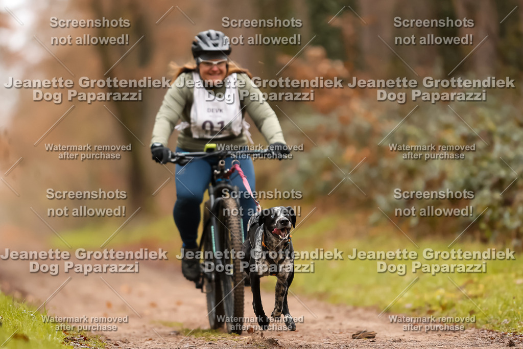 Dog Paparazzi - Speedhunter Mannheim  2025 | Dog Paparazzi Jeanette Grottendiek Fotografie & Videografie