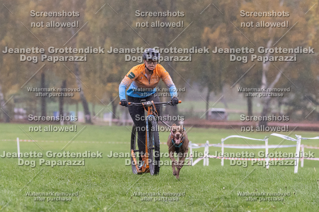Dog Paparazzi - SD CaniX Championship 2025-889 | Dog Paparazzi Jeanette Grottendiek Fotografie & Videografie - Realisiert mit Pictrs.com