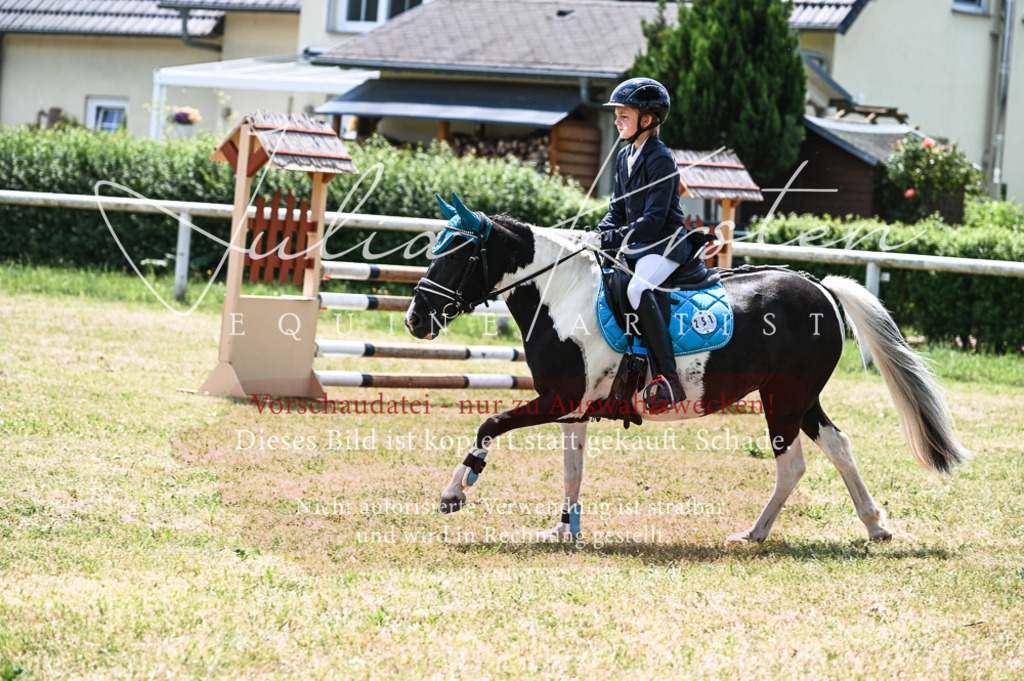 DSC_9732 | Pferde- und Turnierfotografie in Westsachsen. Pferdeportraits, Auftragszeichnungen und intuitive Kunst.