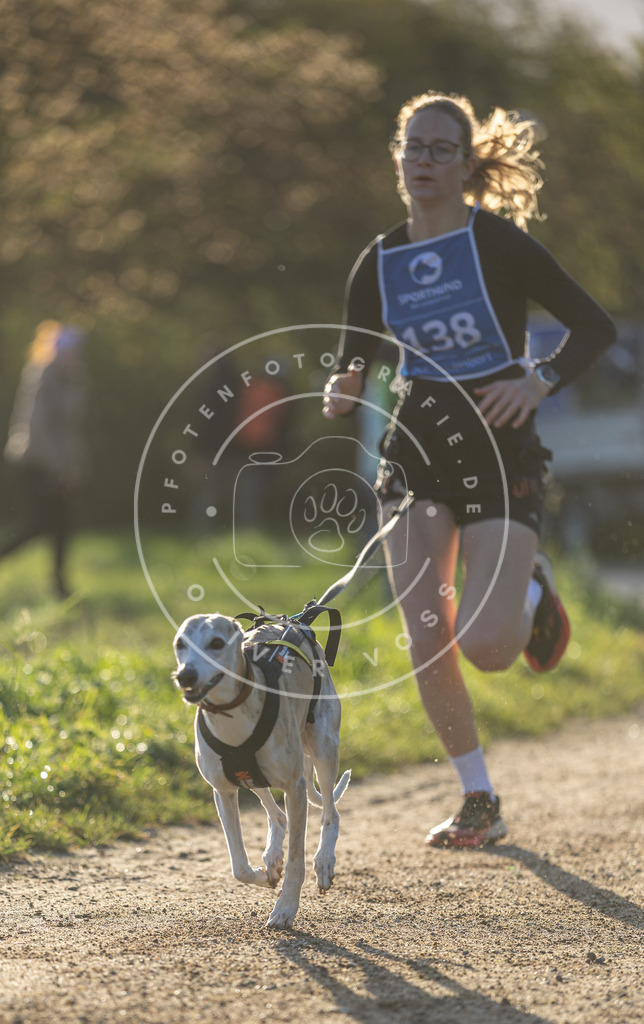 Pfotenfotografie.de_DV3A2984 | Hundefotografie, Tierfotograf, Pfotenfotografie, Fotoshooting Hund, Hunde Portrait, Hundesport, Hundeportraits, Heideshooting, Hunde, Sportfotograf, Hundefotograf, Turnierhundsport, THS, canicross - Realisiert mit Pictrs.com