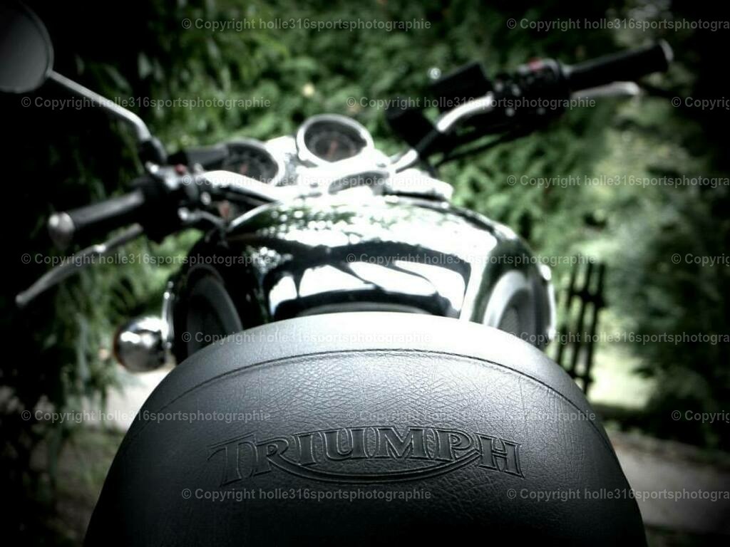 1170755_3484747135480_360353305_n | Sportfotografie , Motorsport, Motoross, Reitsport, Mointainbike, Enduro,
Landschaft , Outdoor, Eventfotografie, Landschaft, Bilder online bestellen - Realisiert mit Pictrs.com