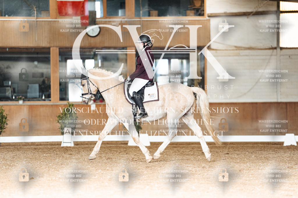 CK902623 | Turnierfotografie Pferdefotografie Trier Rheinland-Pfalz Pferdesport Reitsport Tierfotografie Sportfotografie Pferdevideo Pferdevideografie Equestrianvideography equestrianphotography  - Realisiert mit Pictrs.com