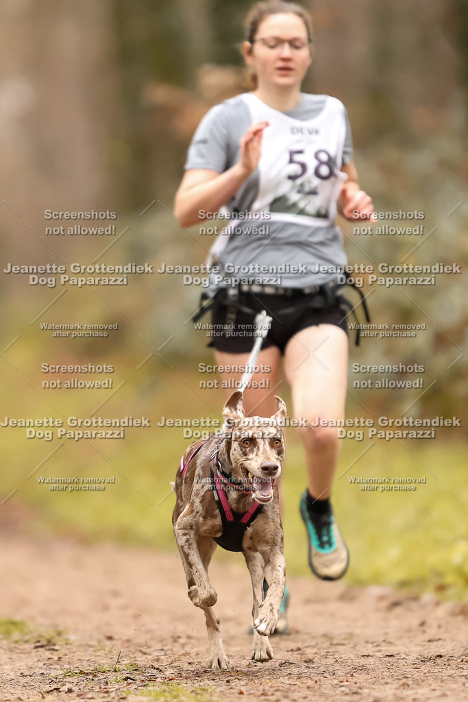 Dog Paparazzi - Speedhunter Mannheim  2025-167 | Dog Paparazzi Jeanette Grottendiek Fotografie & Videografie