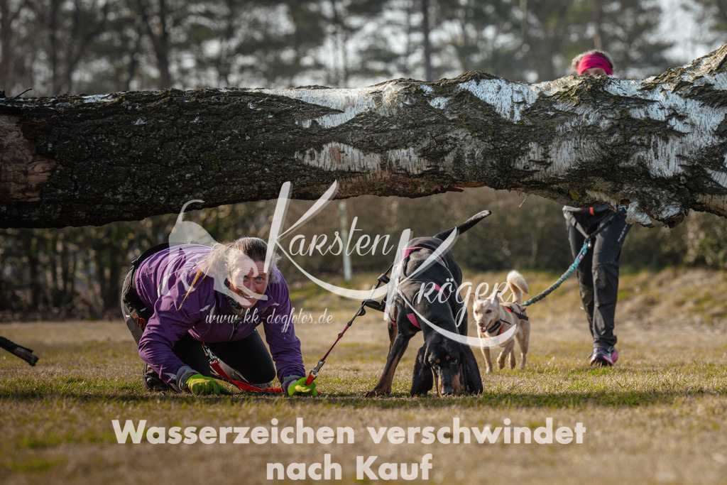 0929_ZZ99073 | kk-dogfotos