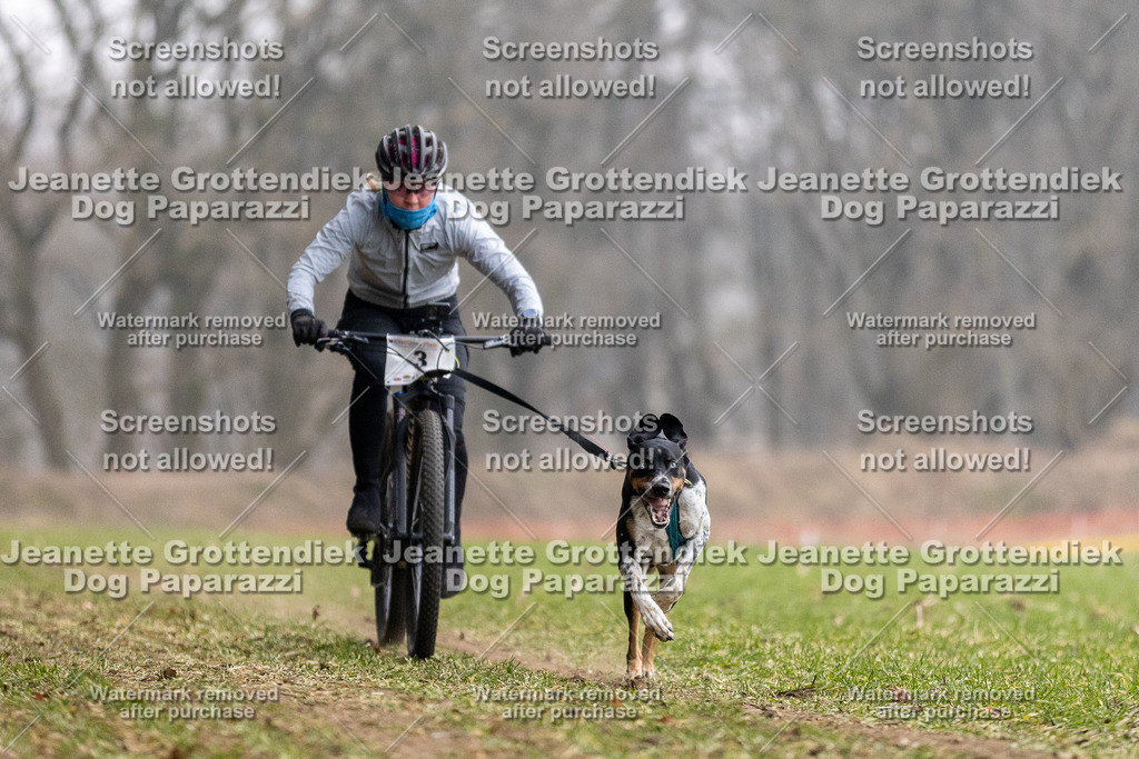 Dog Paparazzi - Plate 2026-2 | Dog Paparazzi Jeanette Grottendiek Fotografie & Videografie - Realisiert mit Pictrs.com