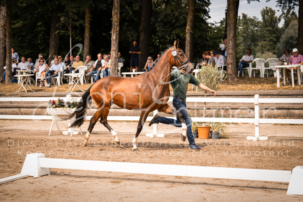 6.Fr00095 | Leoni Ertmer Photography - Realisiert mit Pictrs.com