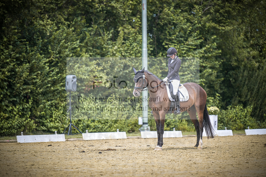 DOS_3375 | Entdecke hochwertige Reitturnierfotos von Foto Oger. Professionell, emotional und authentisch – jetzt Lieblingsmomente im Shop bestellen.Deutschlandweite Turnierfotografie. - Realisiert mit Pictrs.com