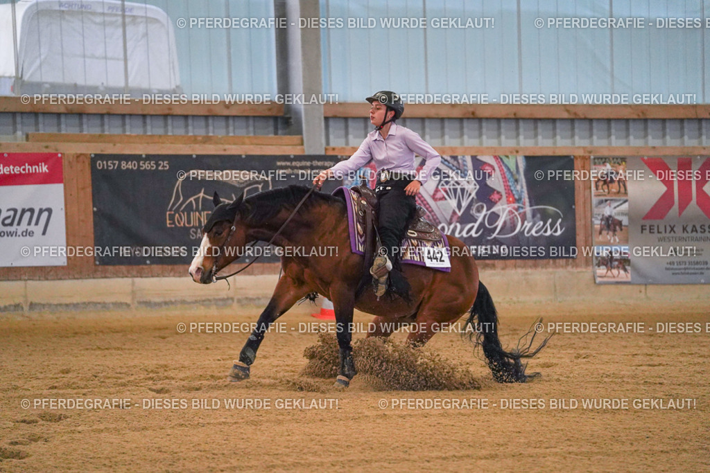 DSC09444 | Pferdegrafie