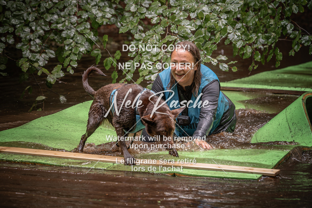 nelerasche_Wingst_Sa1330-1400_53 | nelerasche