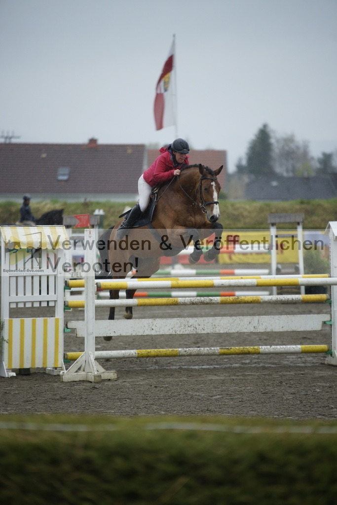 _DSC6139 | equestrian-live-com