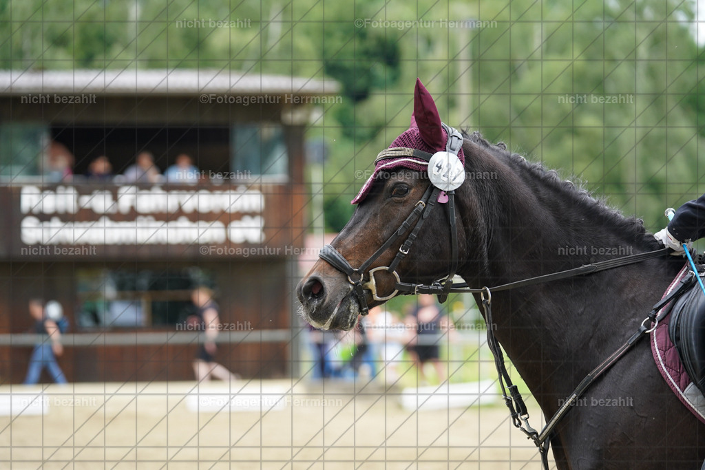 20240630-FAH01187 | Turnierbilder Schwabmünchen, Dressurbilder, Springreitturnier, Reitsportbilder, Turnierfotografen Bayern, Turnierfotograf