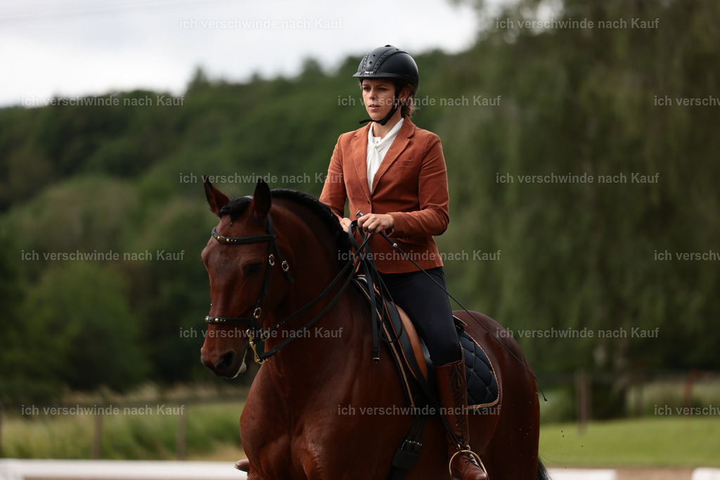 KlasseL_Stoibphotography_CAM21375.JPG | working equitationturnier fotograf videograf stoibphotography marixx film working equitation deutschland reitsport turnierfotografie eventfotografie equestrian events