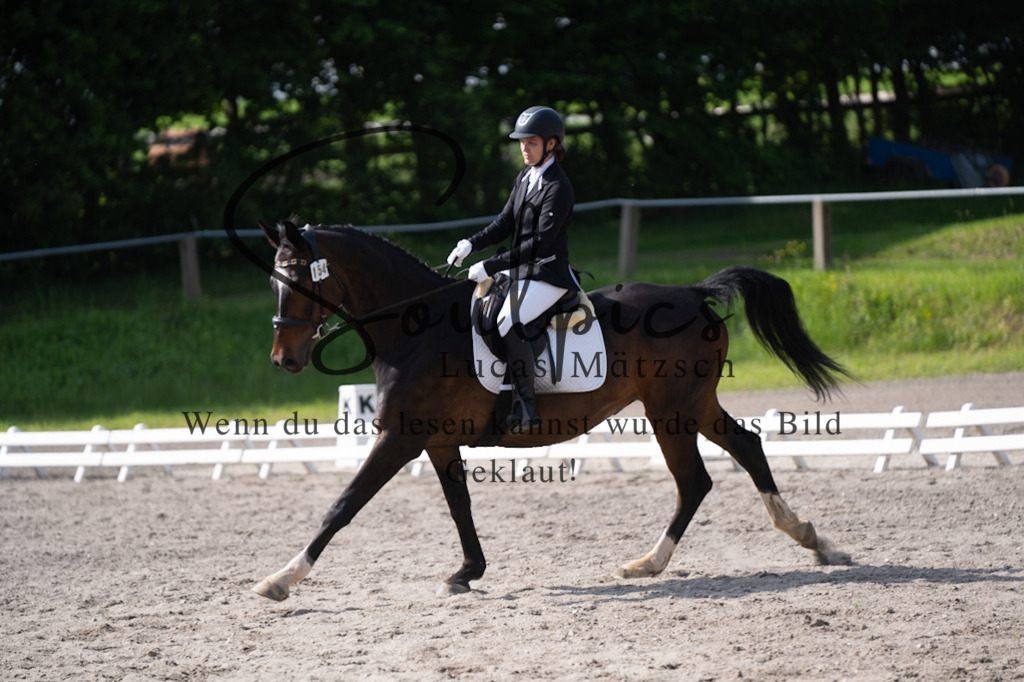 A7V02538 | Pferdefotograf