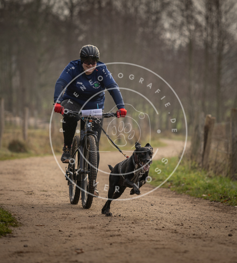 Pfotenfotografie_DV3A2023 | Hundefotografie, Tierfotograf, Pfotenfotografie, Fotoshooting Hund, Hunde Portrait, Hundesport, Hundeportraits, Heideshooting, Hunde, Sportfotograf, Hundefotograf, Turnierhundsport, THS,  - Realisiert mit Pictrs.com