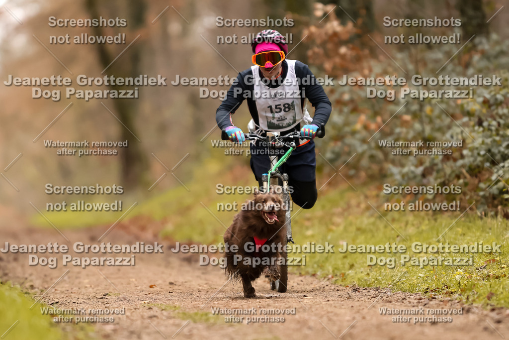 Dog Paparazzi - Speedhunter Mannheim  2025-433 | Dog Paparazzi Jeanette Grottendiek Fotografie & Videografie
