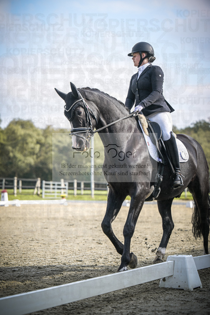 DOS_B725 | Entdecke hochwertige Reitturnierfotos von Foto Oger. Professionell, emotional und authentisch – jetzt Lieblingsmomente im Shop bestellen.Deutschlandweite Turnierfotografie. - Realisiert mit Pictrs.com