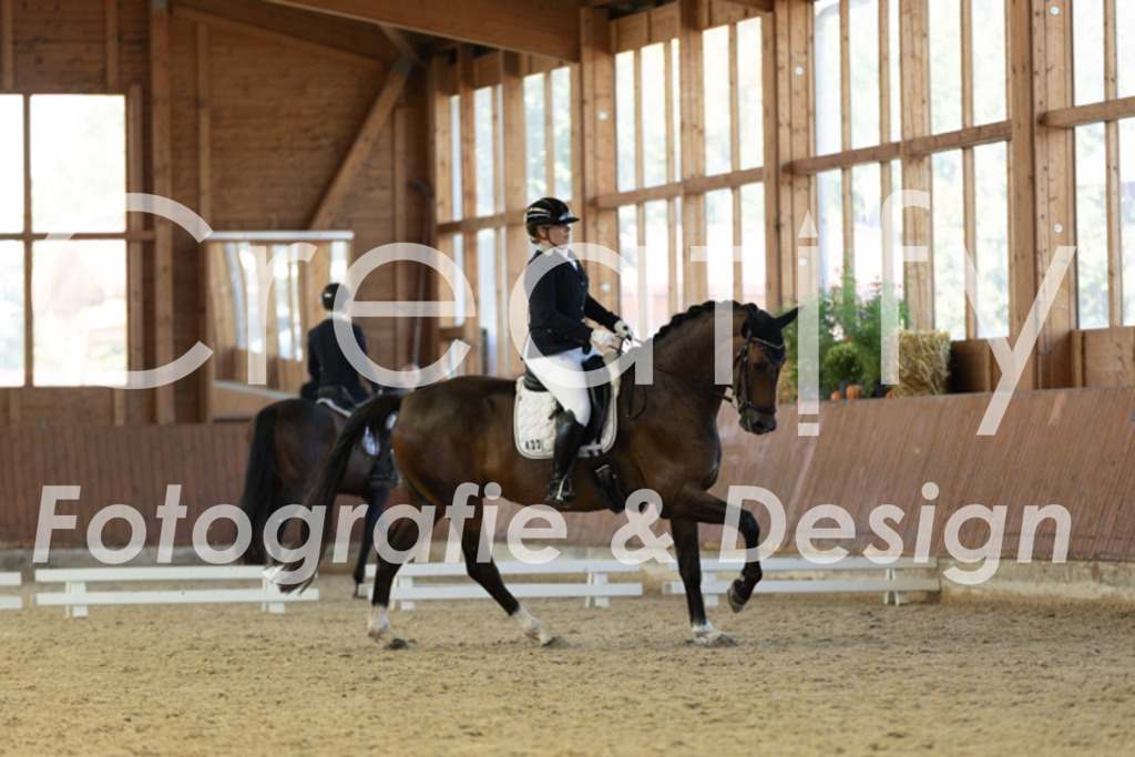 IMG_9117 | Creatify Fotografie